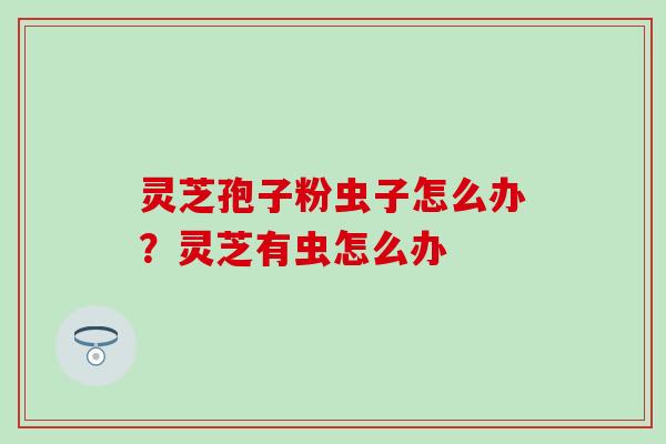 灵芝孢子粉虫子怎么办？灵芝有虫怎么办
