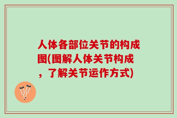 人体各部位关节的构成图(图解人体关节构成，了解关节运作方式)