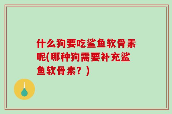 什么狗要吃鲨鱼软骨素呢(哪种狗需要补充鲨鱼软骨素？)
