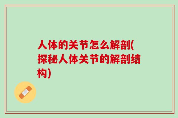 人体的关节怎么解剖(探秘人体关节的解剖结构)