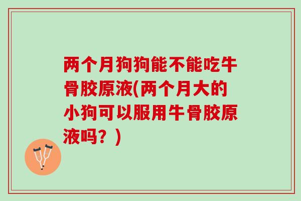 两个月狗狗能不能吃牛骨胶原液(两个月大的小狗可以服用牛骨胶原液吗？)
