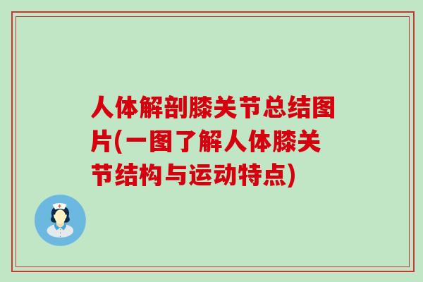 人体解剖膝关节总结图片(一图了解人体膝关节结构与运动特点)