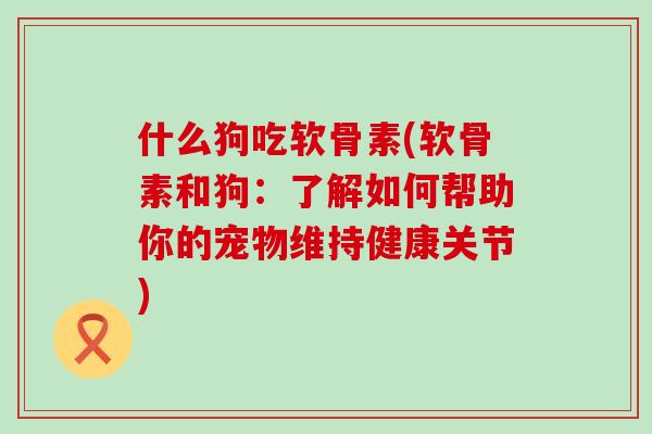 什么狗吃软骨素(软骨素和狗：了解如何帮助你的宠物维持健康关节)