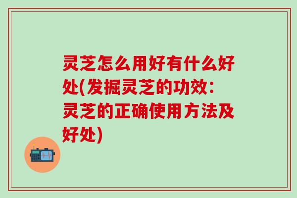 灵芝怎么用好有什么好处(发掘灵芝的功效：灵芝的正确使用方法及好处)