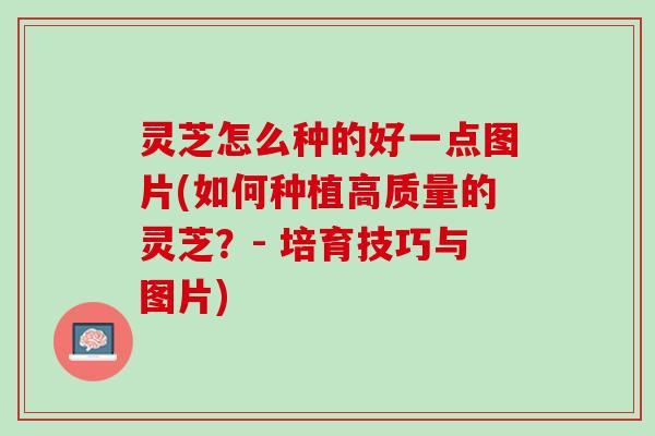 灵芝怎么种的好一点图片(如何种植高质量的灵芝？- 培育技巧与图片)