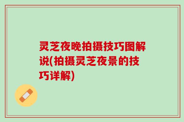 灵芝夜晚拍摄技巧图解说(拍摄灵芝夜景的技巧详解)