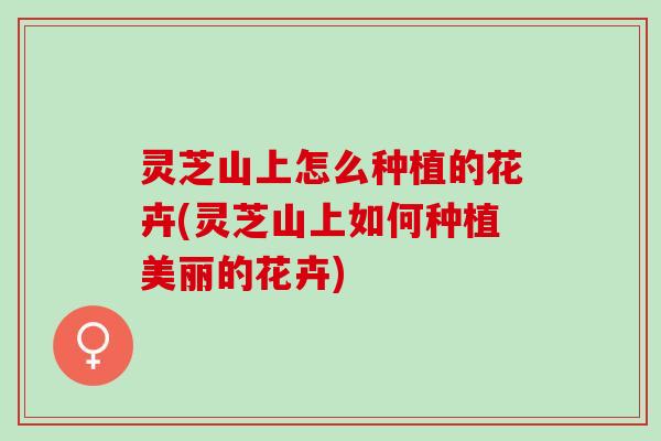 灵芝山上怎么种植的花卉(灵芝山上如何种植美丽的花卉)