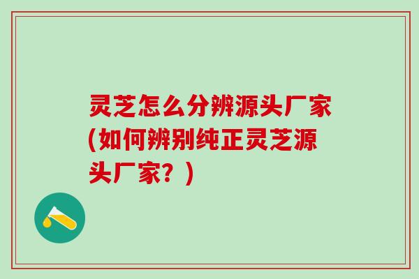 灵芝怎么分辨源头厂家(如何辨别纯正灵芝源头厂家？)