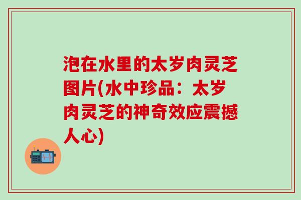 泡在水里的太岁肉灵芝图片(水中珍品：太岁肉灵芝的神奇效应震撼人心)