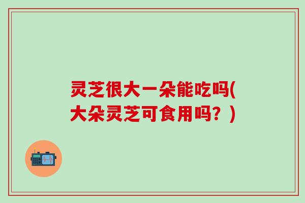 灵芝很大一朵能吃吗(大朵灵芝可食用吗？)