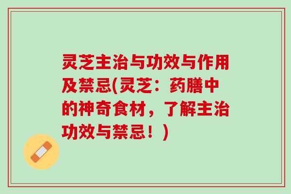 灵芝主治与功效与作用及禁忌(灵芝：药膳中的神奇食材，了解主治功效与禁忌！)