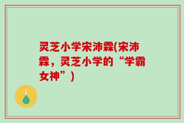 灵芝小学宋沛霖(宋沛霖，灵芝小学的“学霸女神”)