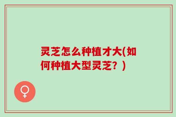 灵芝怎么种植才大(如何种植大型灵芝？)