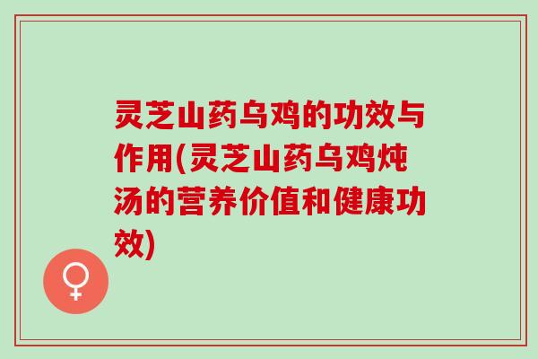灵芝山药乌鸡的功效与作用(灵芝山药乌鸡炖汤的营养价值和健康功效)