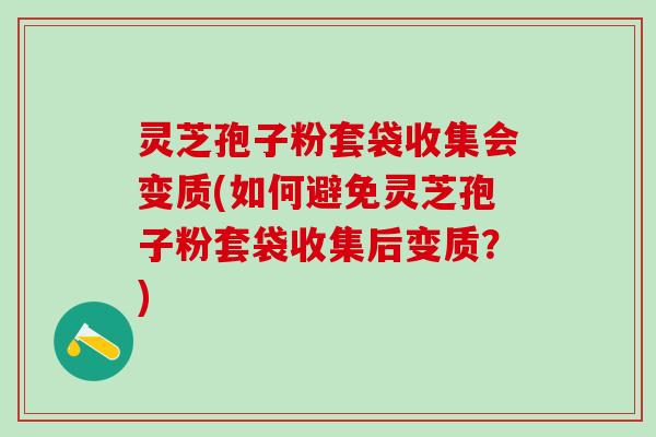 灵芝孢子粉套袋收集会变质(如何避免灵芝孢子粉套袋收集后变质？)