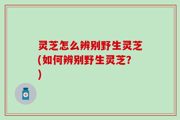 灵芝怎么辨别野生灵芝(如何辨别野生灵芝？)