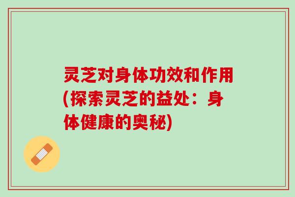 灵芝对身体功效和作用(探索灵芝的益处：身体健康的奥秘)