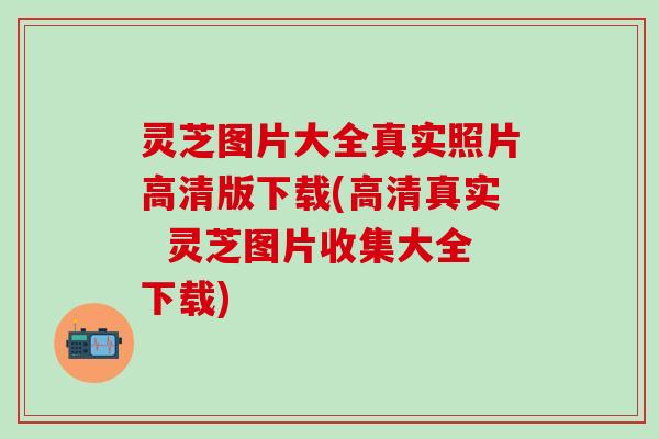 灵芝图片大全真实照片高清版下载(高清真实  灵芝图片收集大全下载)