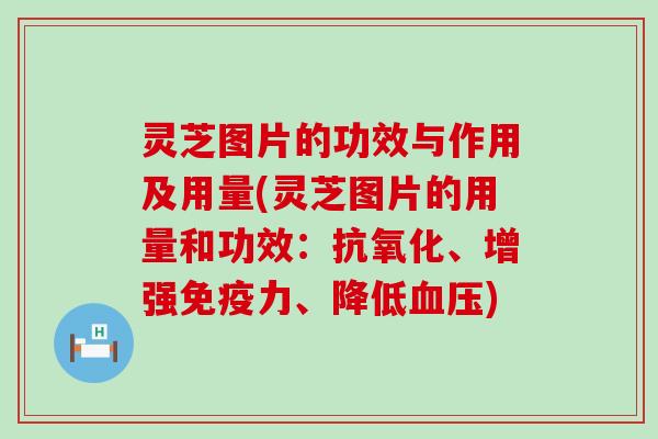 灵芝图片的功效与作用及用量(灵芝图片的用量和功效：抗氧化、增强免疫力、降低血压)