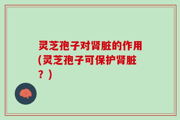 灵芝孢子对肾脏的作用(灵芝孢子可保护肾脏？)