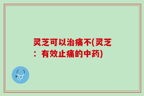 灵芝可以治痛不(灵芝：有效止痛的中药)