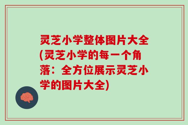 灵芝小学整体图片大全(灵芝小学的每一个角落：全方位展示灵芝小学的图片大全)