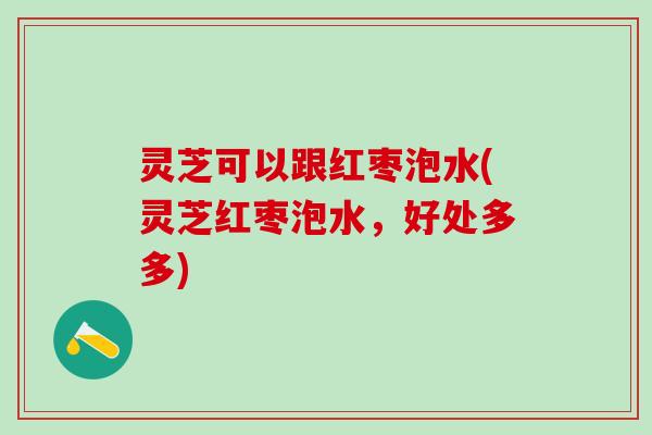 灵芝可以跟红枣泡水(灵芝红枣泡水，好处多多)