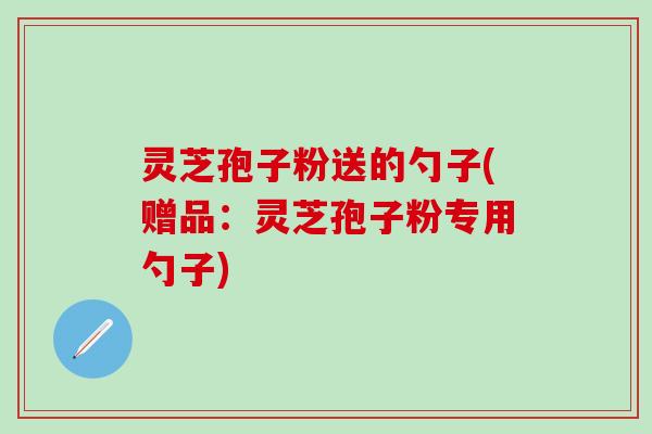 灵芝孢子粉送的勺子(赠品：灵芝孢子粉专用勺子)
