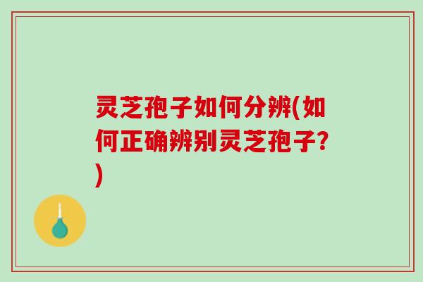 灵芝孢子如何分辨(如何正确辨别灵芝孢子？)