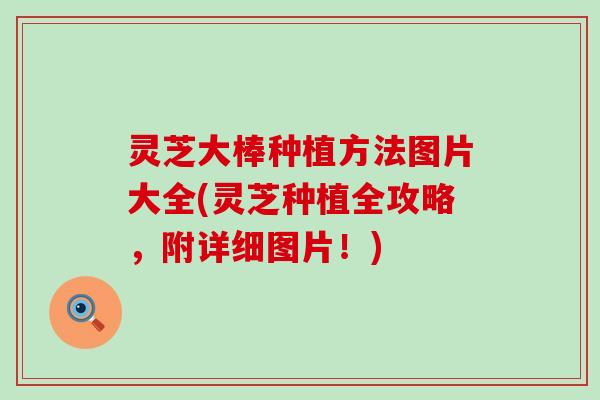 灵芝大棒种植方法图片大全(灵芝种植全攻略，附详细图片！)