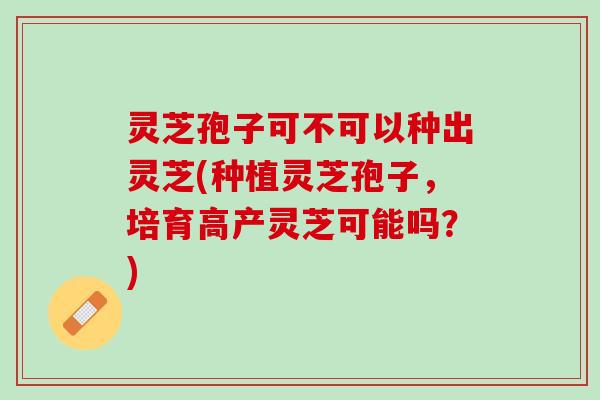 灵芝孢子可不可以种出灵芝(种植灵芝孢子，培育高产灵芝可能吗？)