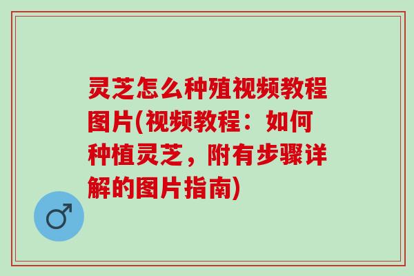 灵芝怎么种殖视频教程图片(视频教程：如何种植灵芝，附有步骤详解的图片指南)