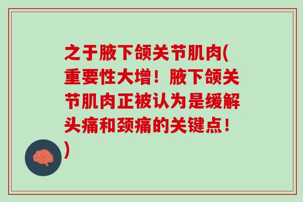之于腋下颌关节肌肉(重要性大增！腋下颌关节肌肉正被认为是缓解头痛和颈痛的关键点！)