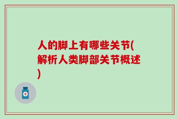 人的脚上有哪些关节(解析人类脚部关节概述)