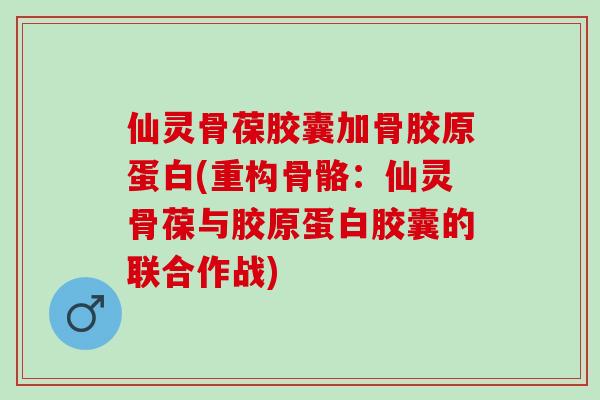 仙灵骨葆胶囊加骨胶原蛋白(重构骨骼：仙灵骨葆与胶原蛋白胶囊的联合作战)