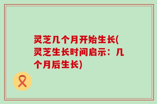 灵芝几个月开始生长(灵芝生长时间启示：几个月后生长)