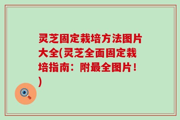 灵芝固定栽培方法图片大全(灵芝全面固定栽培指南:附全图片!) 灵芝固定栽培方法图片大全(灵芝全面固定栽培指南:附全图片!)