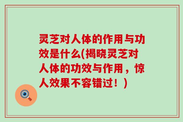 灵芝对人体的作用与功效是什么(揭晓灵芝对人体的功效与作用，惊人效果不容错过！)