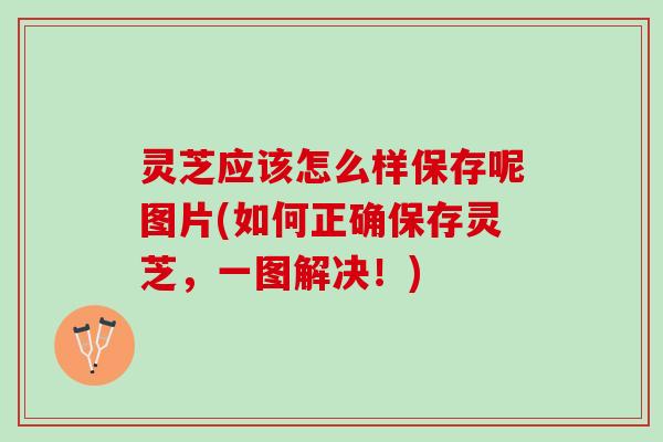 灵芝应该怎么样保存呢图片(如何正确保存灵芝，一图解决！)