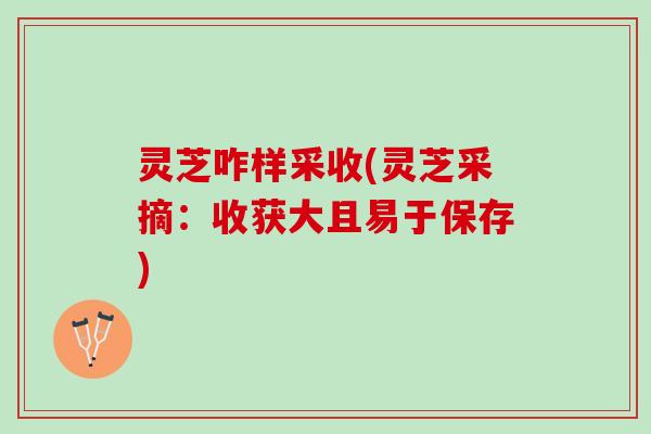 灵芝咋样采收(灵芝采摘：收获大且易于保存)