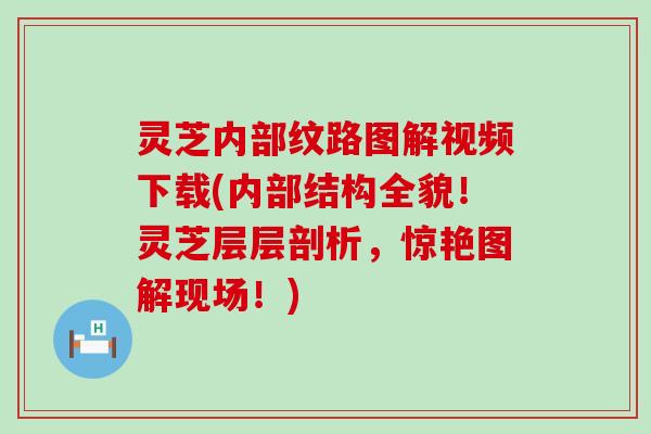 灵芝内部纹路图解视频下载(内部结构全貌！灵芝层层剖析，惊艳图解现场！)