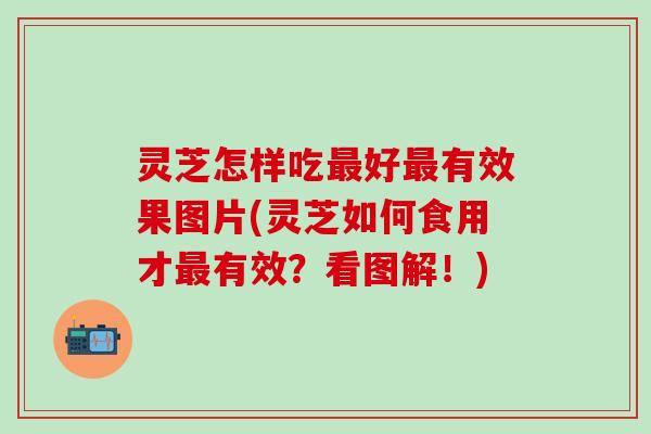 灵芝怎样吃最好最有效果图片(灵芝如何食用才最有效？看图解！)