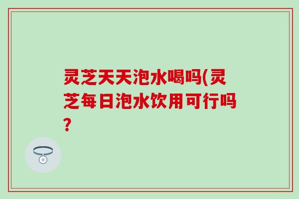 灵芝天天泡水喝吗(灵芝每日泡水饮用可行吗？