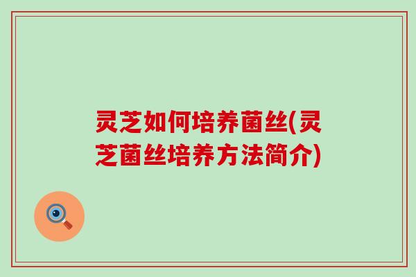 灵芝如何培养菌丝(灵芝菌丝培养方法简介)