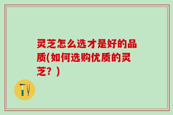 灵芝怎么选才是好的品质(如何选购优质的灵芝？)