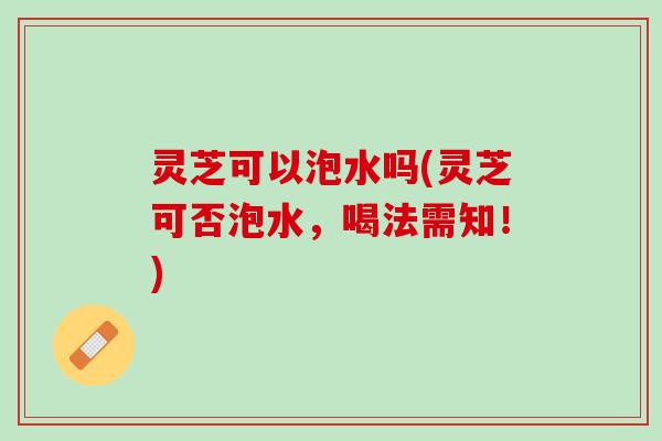 灵芝可以泡水吗(灵芝可否泡水，喝法需知！)