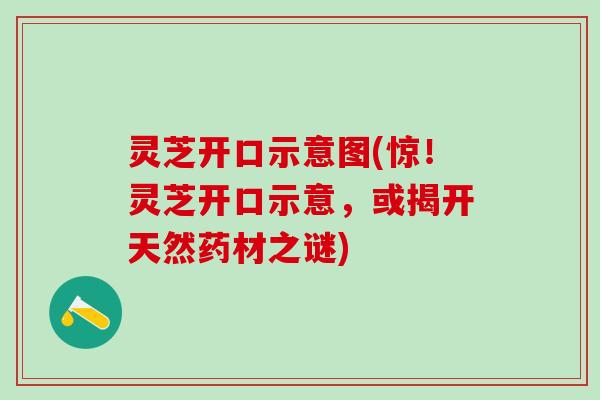 灵芝开口示意图(惊！灵芝开口示意，或揭开天然药材之谜)