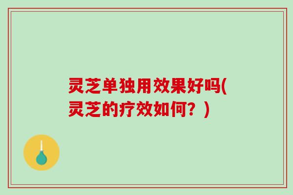 灵芝单独用效果好吗(灵芝的疗效如何？)