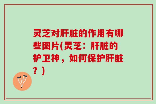 灵芝对肝脏的作用有哪些图片(灵芝：肝脏的护卫神，如何保护肝脏？)