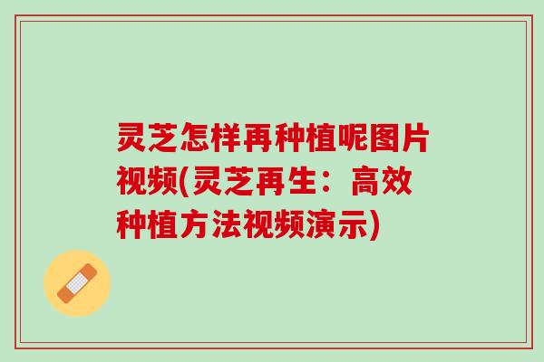灵芝怎样再种植呢图片视频(灵芝再生：高效种植方法视频演示)